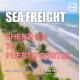 37 Days DDP DDU Sea Freight From Shenzhen To  Puerto Cortes Honduras
