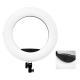 Fs-480 48w 18inch LED Ring Photographic Light for Makeup Beauty led Phone Holder Selfie Camera Led Ring Light