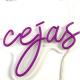 ON/OFF Switches and Gold Mirror Metal Finish The Perfect Combination for Customizable 3D LED Letter Signs