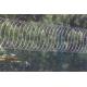 Kenya Flat Wrap Razor Wire 10 meters Galvanized Security barbed wire