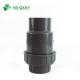 QX Standard PVC Pipe Union Check Valve for Efficiently-Designed Irrigation Water Supply
