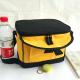 Insulated Soft Cooler Picnic Lunch Box Tote Bottle Bag Freezer Tote promotional bag gift