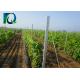 High Strength Vineyard Trellis End Posts With Round Holes 2.0mm-4.0mm Thickness