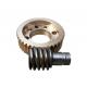 Metal Machined Worm Gear Shaft For Medical Devices Auto Parts