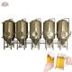 CE certificated microbrewery equipment with electricity heating or steam heating