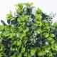 PE Plastic Artificial Plant Synthetic Wall Ornaments 50*50Cm Grass Hedge