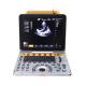 15 Inch Multiple Beam Synthesis Veterinary Ultrasound Machine For Small Animals