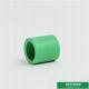 20mm Green Plastic Pipe Fitting Ppr Equal Coupling For House With OEM ODM