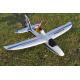 Mini 4ch Sport Plane Dolphin Glider 2.4Ghz RC Aerobatic Aircrafts EPO Brushless RTF