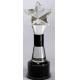 Top Grade Star Crystal Trophy