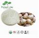 Factory Supply Origanic Fresh Garlic Extract Allicin 1 % Alliin 2 %