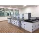 Wholesales Supply High School Lab Bench With PP Material For School Physical Laboratory