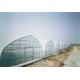 Section 4m Polyethylene Film Greenhouse , Single Span Greenhouse For Vegetable