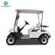 Luxury electric retro golf carts sale mini golf cart with 2 pu seater for Golf course