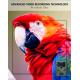 KW866 WIFI Hunting  trail Camera waterproof IP67 OEM/ODM 512GB Storage SD Memory Card 32MP 4K