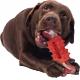 Rubberized Chewing Bone Dog Toy Tooth Grinding Tooth Cleaning