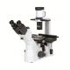 Phase Contrast Laboratory Biological Microscope With Infinity Long Working Distance