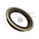 76X95X17 Rotating Shaft Seal Additional Dust Lip ISO 9001 Certification