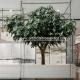 Environment Flexible Artificial Ficus Tree For School Decoration / Fake Ficus Plant
