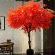 Red Leaves Indoor Vase Planting Artificial Maple Tree Acid And Alkali Resistant