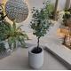 Create a Beautiful Garden with Fiberglass Flower Pots Durable and Lightweight