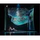 Length 50m 3D Holographic Projection Screen Transparent Holoflex