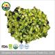 Halal instant food dehydrated vegetable freeze dried cucumber