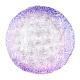 Wholesales Roes Embossed Spray Color Decoration Glass Charger Plate