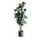 Bonsai Nordic Artificial Money Ficus Tree Home Living Room Floor Decor