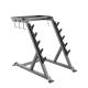 Commercial Gym Fitness Equipment 5/10 Pairs Custom Barbell Rack Weight Plate Tree