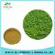 Factory Supply Iceland Moss Extract Powder 10:1 - 50:1