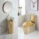 T&F OEM Bathroom Toilet Bowl Gold Ceramic One Piece Western Toilet