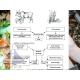 Organic Waste to Biofuels Production