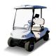 48 Volt Electric 2 Seater Golf Cart Buggies white All Wheel Drive