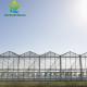 Triangle Roof Agricultural Glass Greenhouse 9.6m Width Winter Lettuce Greenhouse