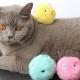 Pet Toys Interactive Pet Chew Eva And Plush Squeaky Balls For Cats