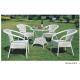 White wicker rattan PE garden dining set-8081