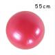 55cm Multi Function Yoga Stability Ball PVC Non Slip Home Use