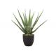 BSCI Artificial Potted Floor Plants Fake Aloe Vera Plant OEM ODM