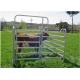 Light Weight Cattle Corral Panels Animal Fence Panels Round / Square / Oval Tube Type