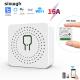 Cozylife Zigbee Homekit Compatible Switches 2A 250V Smart Home Automation Switch