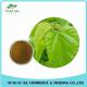 High Quality Mulberry Leaf Extract Powder/Natural Mulberry Extract 1% 1-Deoxynojirimycin(1-DNJ)