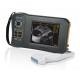 Monochrome Display Veterinary Ultrasound Scanner L60 With 32 Digital Channels