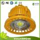 30W LED Explosion-proof Light with IP66 Protection Grade, COB High Brightness