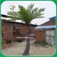 UVG PTR040 small palm tree artificial with silk leaves for garden decoration