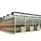 Glass Greenhouse Ventilation System with Tempered Glass or PC Sheet Top Covering