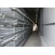 Poultry Farm H Type Layer Chicken Cage Scientific Designed High - Density Raising