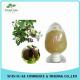 50 % - 98 % Tea Saponins Camellia Oleifera Seed Extract