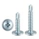 DIN Standard Stainless Steel Hardened Large Flat Self Tapping Screw for Customer