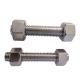 Grade 4.8 Galvanized Hexagonal Bolts With Nuts Carbon Steel High-Strength Bolt